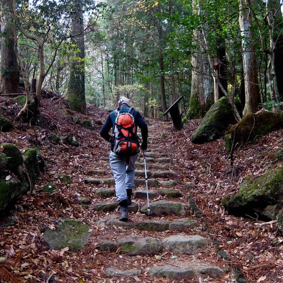 Hakone Hachiri Trail Guided Hiking Tour in Japan