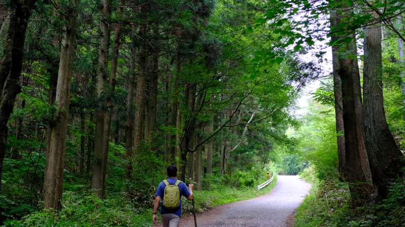 Hiking on the Nakasendo way