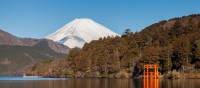 Beautiful scenery of Japan | Felipe Romero Beltran