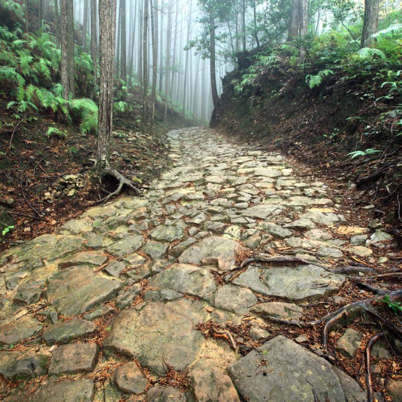The stone lined Nakahechi trail, Kumano Kodo