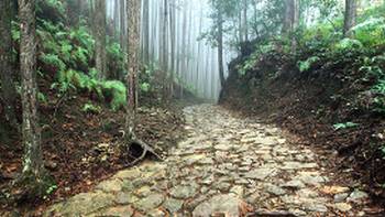 The stone lined Nakahechi trail, Kumano Kodo