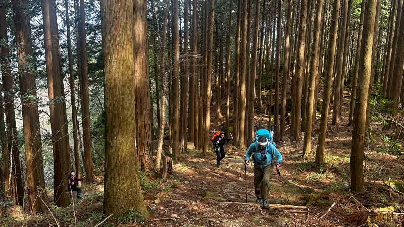 Hikers on Japan's Kumano Kodo | Marion Wheeler
