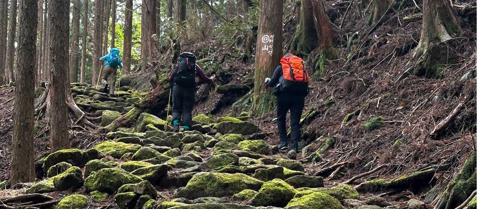 Kumano-Marion-Wheeler-16-