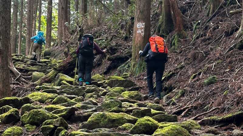 Hikers on Japan's Kumano Kodo | Marion Wheeler