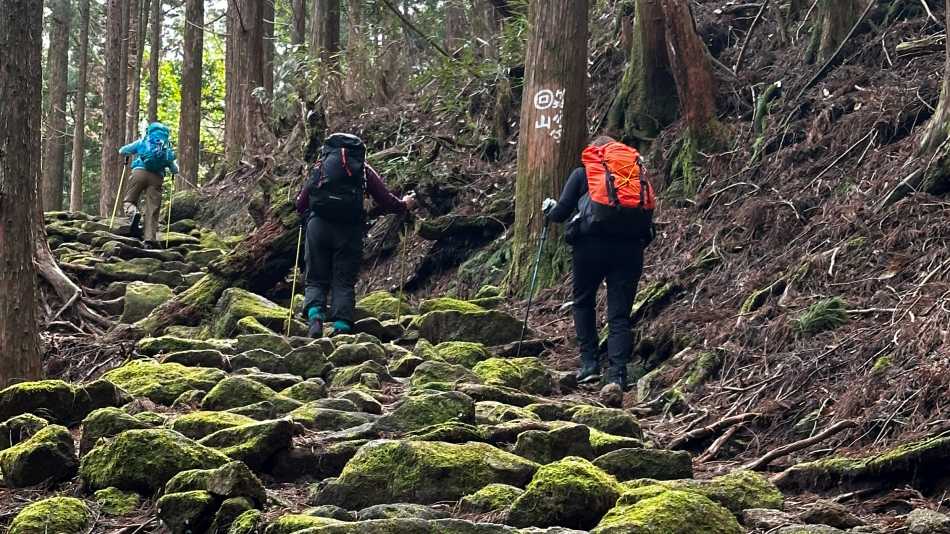 Kumano-Marion-Wheeler-16-