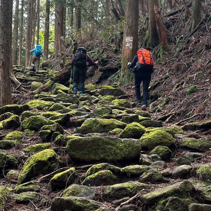 Hikers on Japan's Kumano Kodo | Marion Wheeler