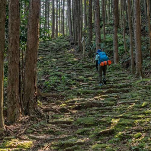 Lada Wrijven Prematuur Japan Walking Trips | Japan's Best Hiking Trails | World Expeditions