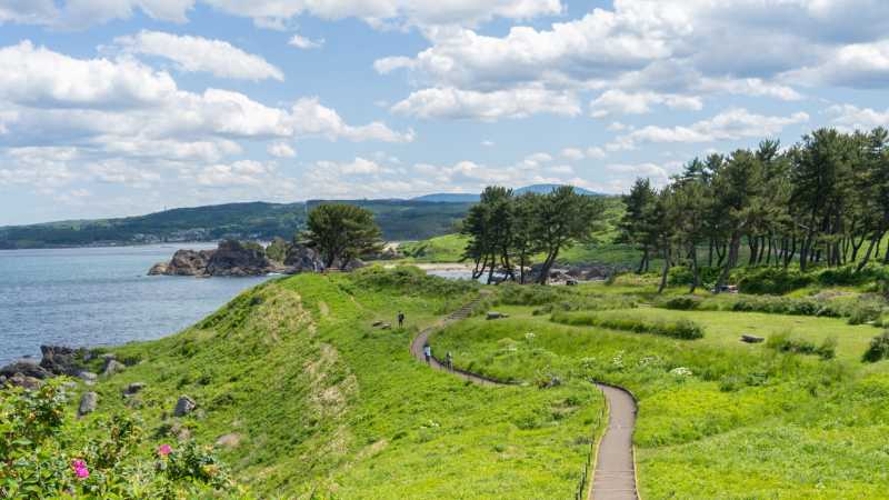 Tanesashi coastline
