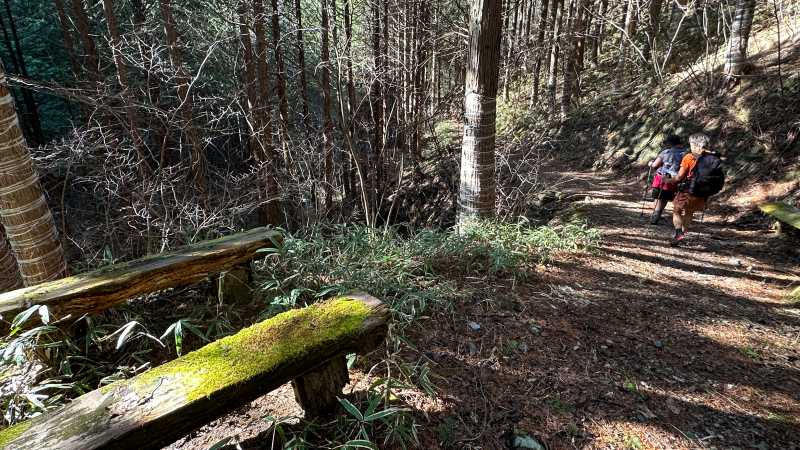 Hiking along Japan's Nakasendo Way | Marion Wheeler