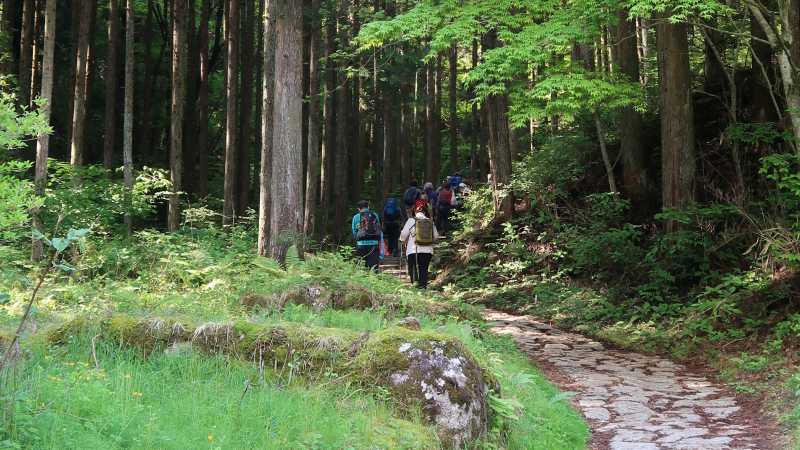 Walking the Nakasendo Way from Tsumago to Magome | Janelle Williams