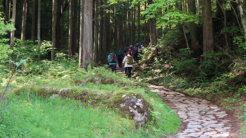 Walking the Nakasendo Way from Tsumago to Magome | Janelle Williams