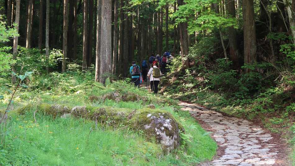 Walking the Nakasendo Way from Tsumago to Magome | Janelle Williams