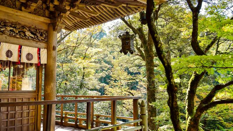 Temples nestle perfectly into Japans stunning natural beauty