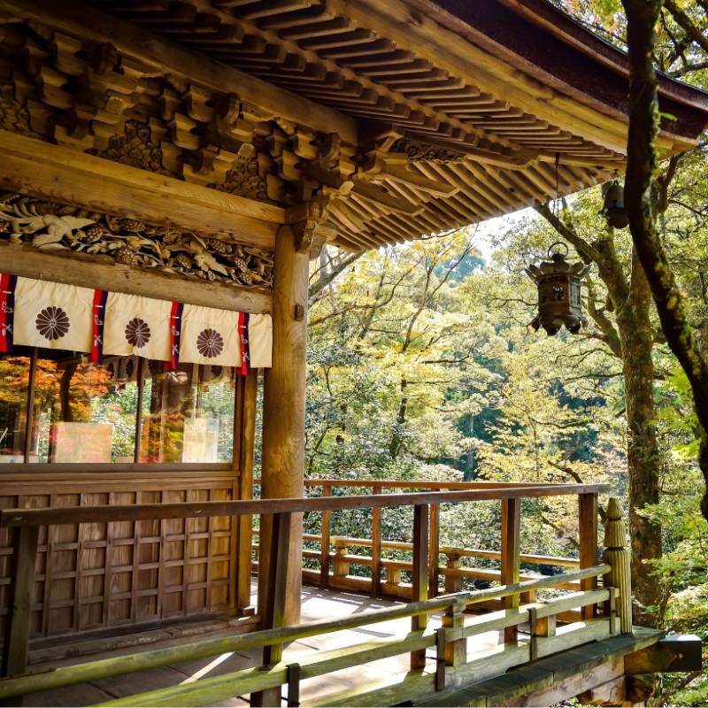 Temples nestle perfectly into Japans stunning natural beauty