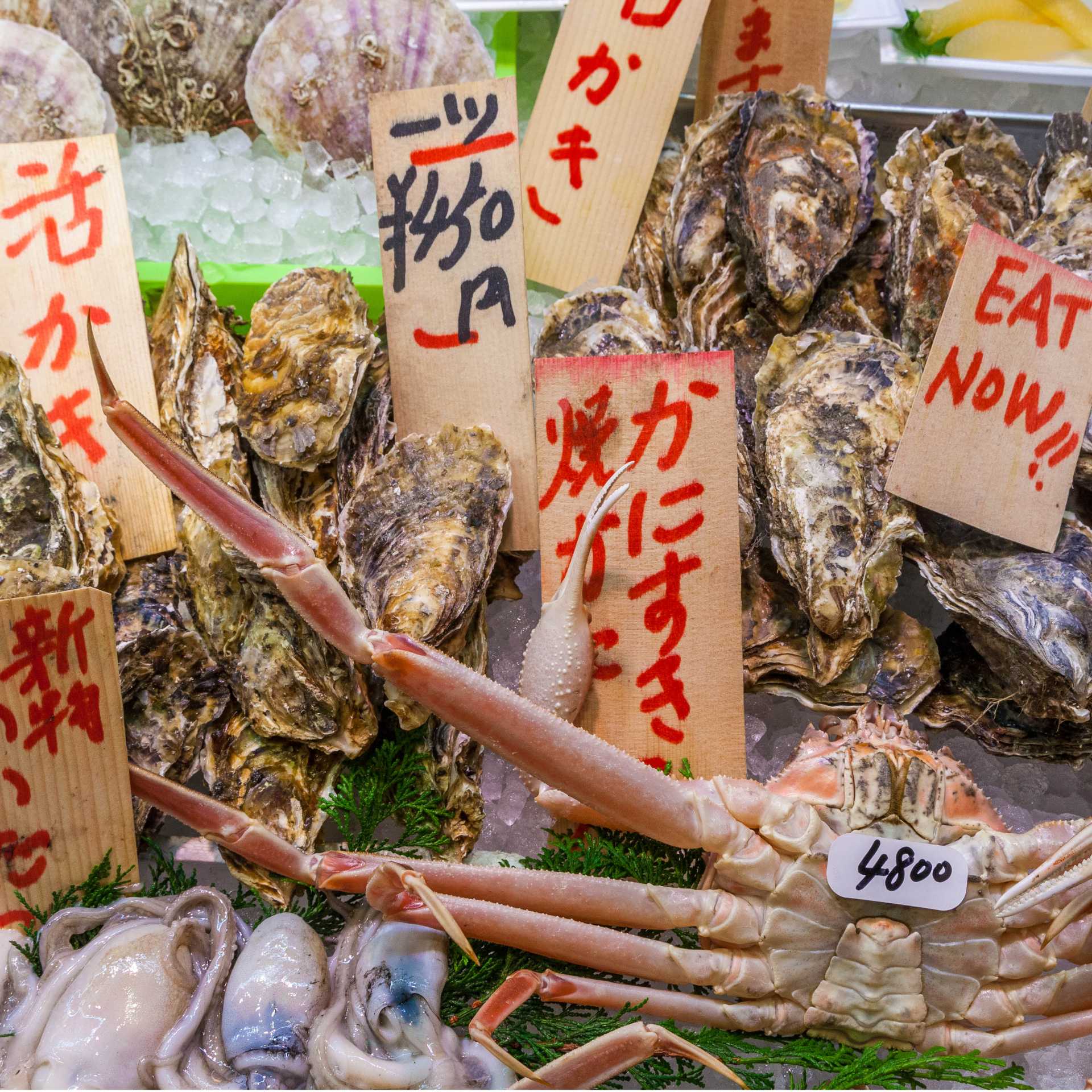 Japan Backroads Walking Cultural Tour Japan Adventure Tours