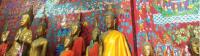 Inside the National Museum in Luang Prabang -  Photo: Kylie Turner