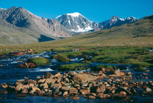 A lush alpine meadow high in the Harhiraa mountains of Mongolia&#160;-&#160;<i>Photo:&#160;Tim Cope</i>