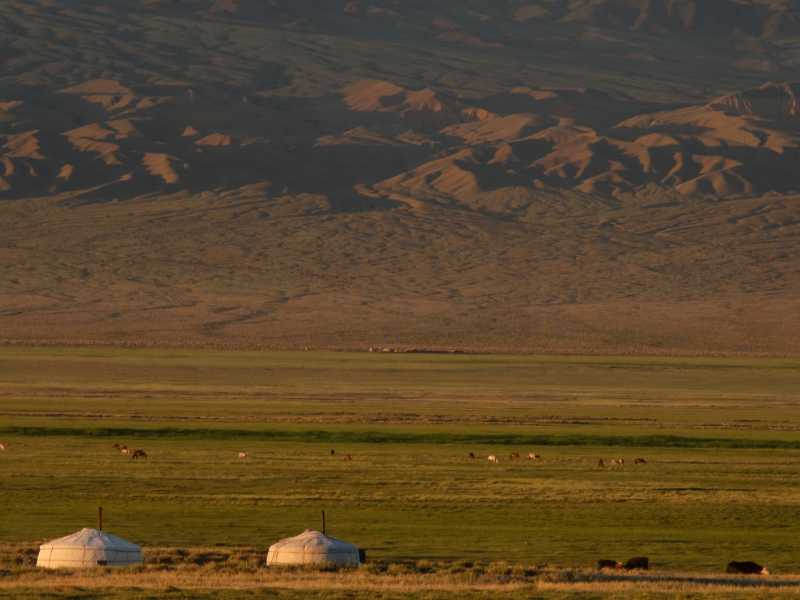 An Oirat nomad community at the base of the Gobi Altai mountains, Mongolia. | Tim Cope
