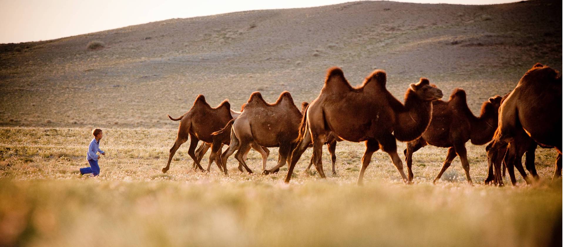 Gobi Desert Explorer | Mongolia Holidays | Mongolia Tours