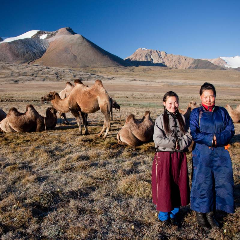 Local herders with their camels on the Mongolian steppe | Cam Cope