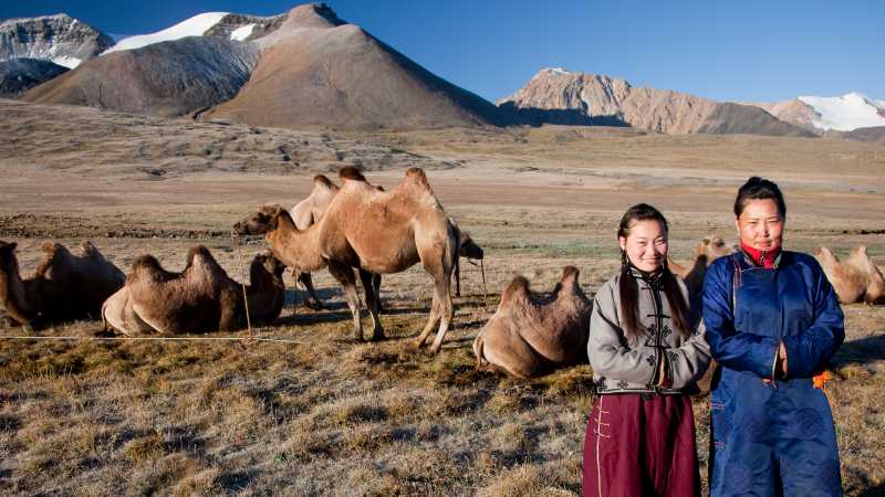 Local herders with their camels on the Mongolian steppe | Cam Cope