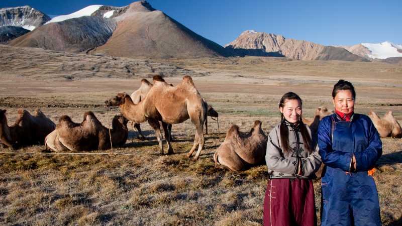 Local herders with their camels on the Mongolian steppe | Cam Cope
