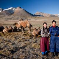 Local herders with their camels on the Mongolian steppe | Cam Cope