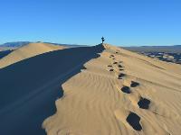 Traipsing through the golden Gobi Desert sand dunes -  Photo: Loren Winstanley