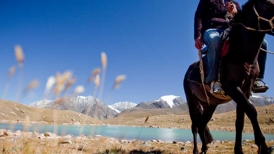 A local horseman, Mongolia | Cam Cope