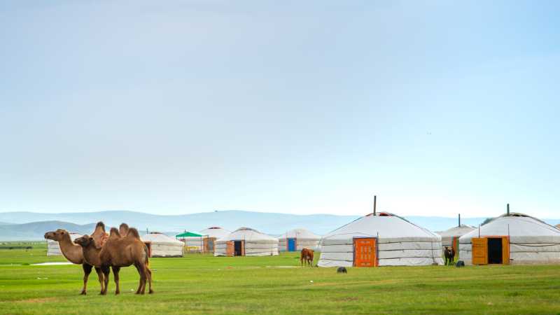 Tradition meets comfort in this Mongolian ger stay