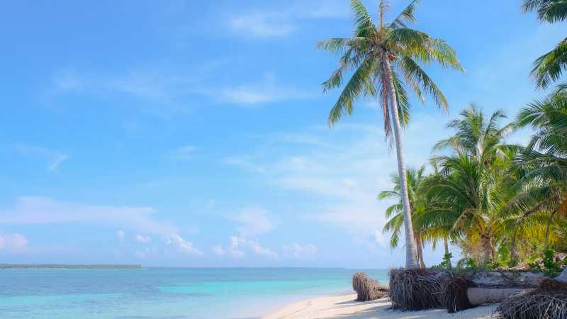 White sand, swaying palms and calm turquoise waters capture the relaxed beauty of the Philippine islands. - A Culinary Expedition Through the Philippines with Chef Matthew Astorga, Philippines