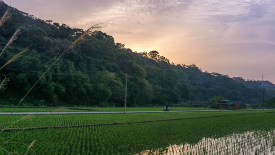 Cycle through the 'rice bowl' of Taiwan | prometeus_86