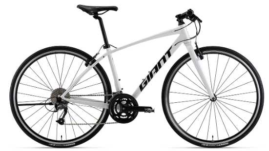 Giant Escape 2 Mountain BIke