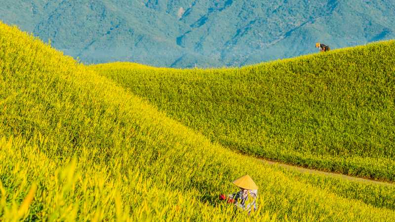Taiwan's East Rift Valley
