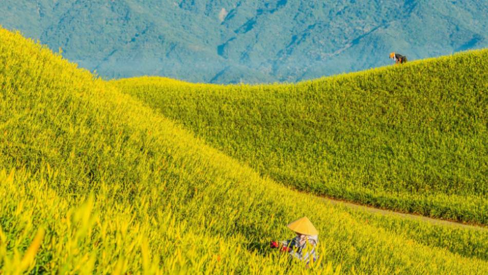 Taiwan's East Rift Valley