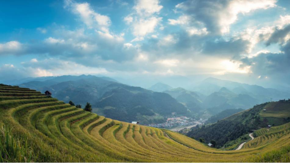 Terraced landscapes of Northern Thailand