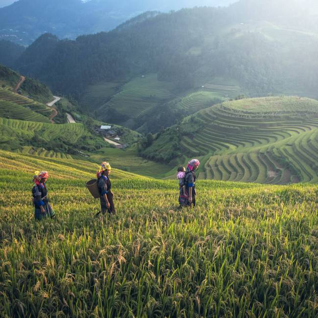 Meet Thailand's remote hilltribes people