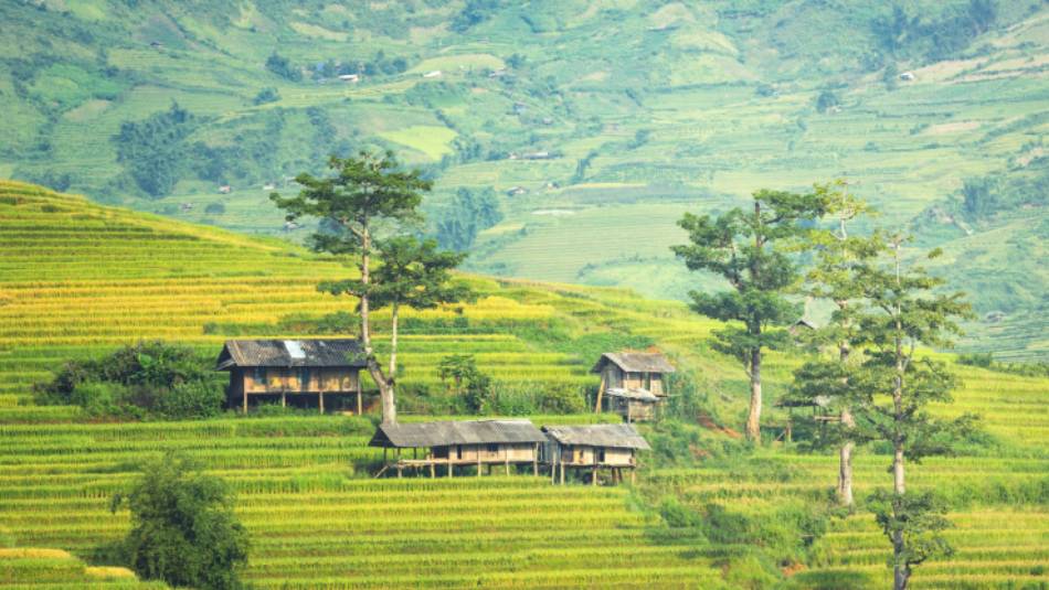 Terraced hillsides in Northern Thailand