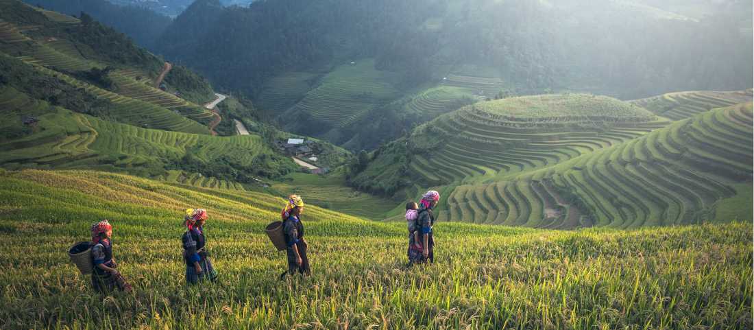Remote Northern Thailand Trekking