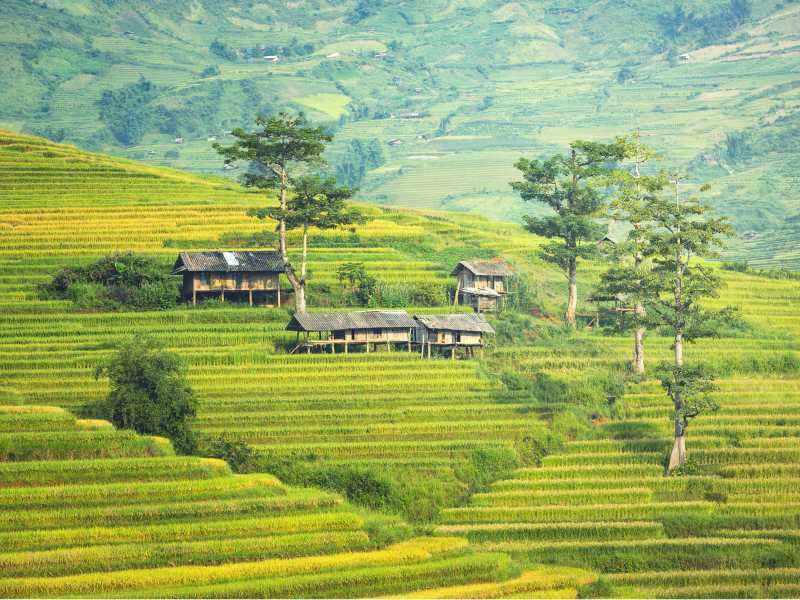 Terraced hillsides in Northern Thailand