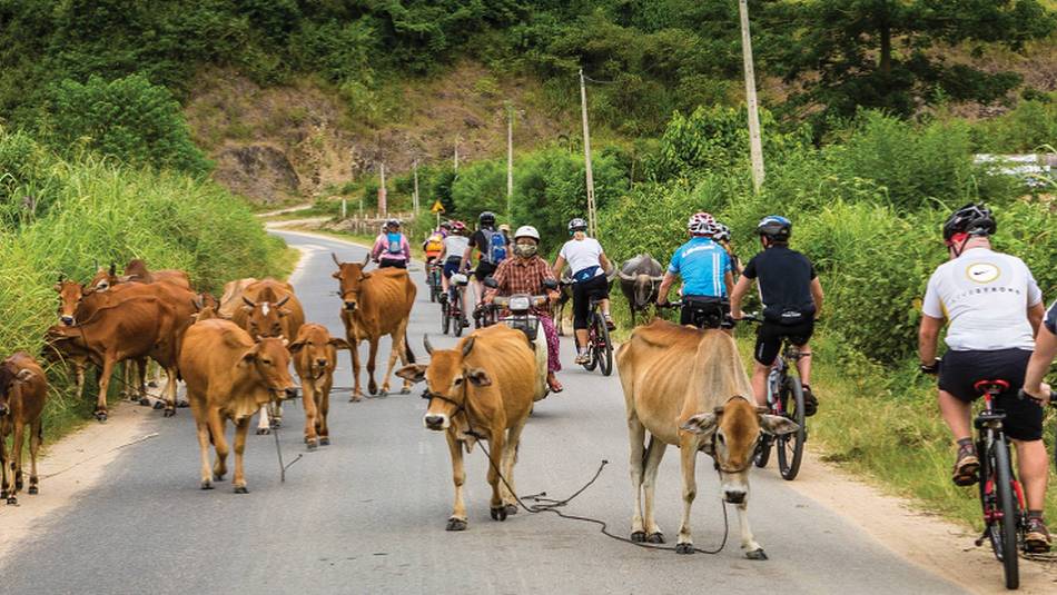 Cycling in Vietnam | Richard I'Anson