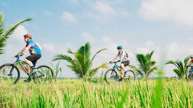 Enjoy the quiet cycling through Vietnam