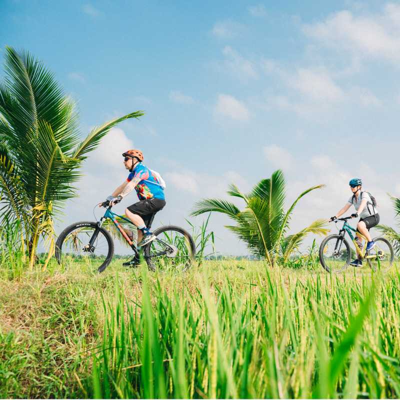 Enjoy the quiet cycling through Vietnam