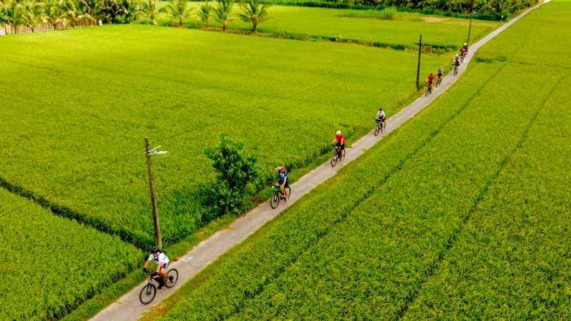 Exploring the paddy fields of the Mekong Delta