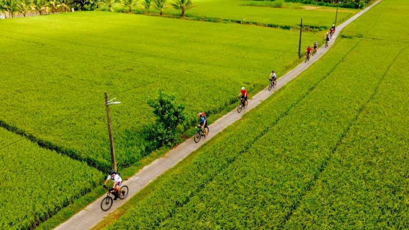 Exploring the paddy fields of the Mekong Delta