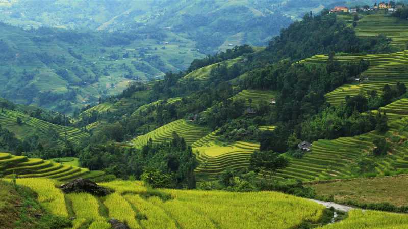 Lush landscapes of the Ha Giang Hike