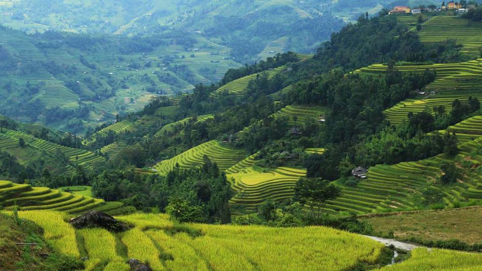 Lush landscapes of the Ha Giang Hike