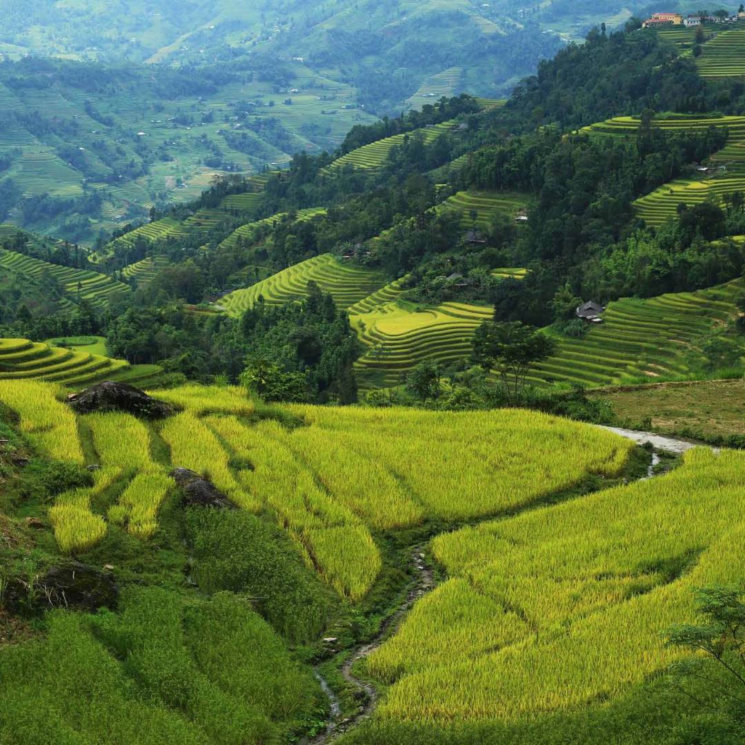 Vietnam Ha Giang Hike & Homestays | Vietnam Adventure Tour | World ...