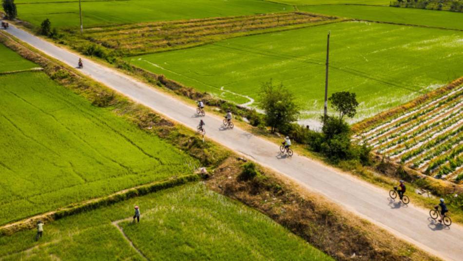 Explore the fields of the Mekong Delta by bike | Lachlan Gardiner