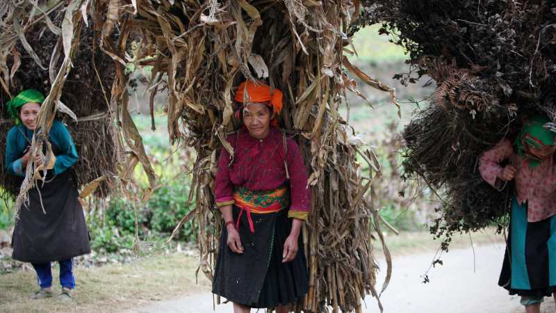 Local women working hard in Ha Giang